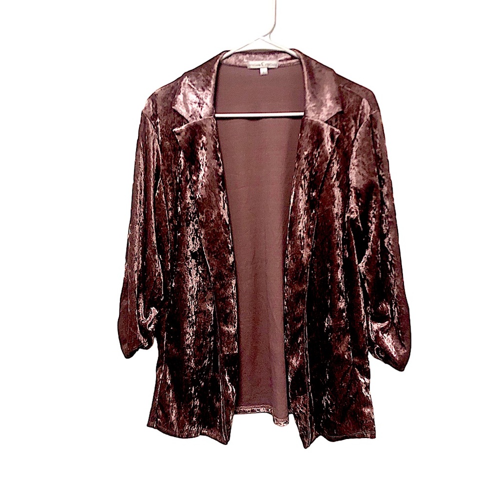 Dusty Rose Velvet Blazer